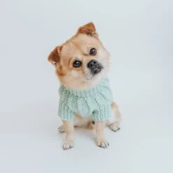 Dog Cable Knit Sweater - Mint 24 Dog Cable Knit Sweater - Mint -Furfinity Cheap Shop green cable knit l 2