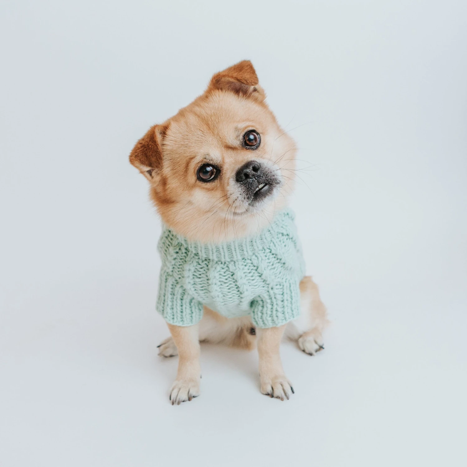 Dog Cable Knit Sweater - Mint 12 Dog Cable Knit Sweater - Mint - Image 10
