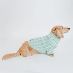 Dog Cable Knit Sweater - Mint 23 Dog Cable Knit Sweater - Mint -Furfinity Cheap Shop green cable knit m