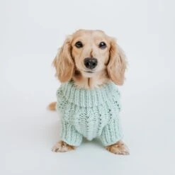 Dog Cable Knit Sweater - Mint 17 Dog Cable Knit Sweater - Mint -Furfinity Cheap Shop green cable knit m 2