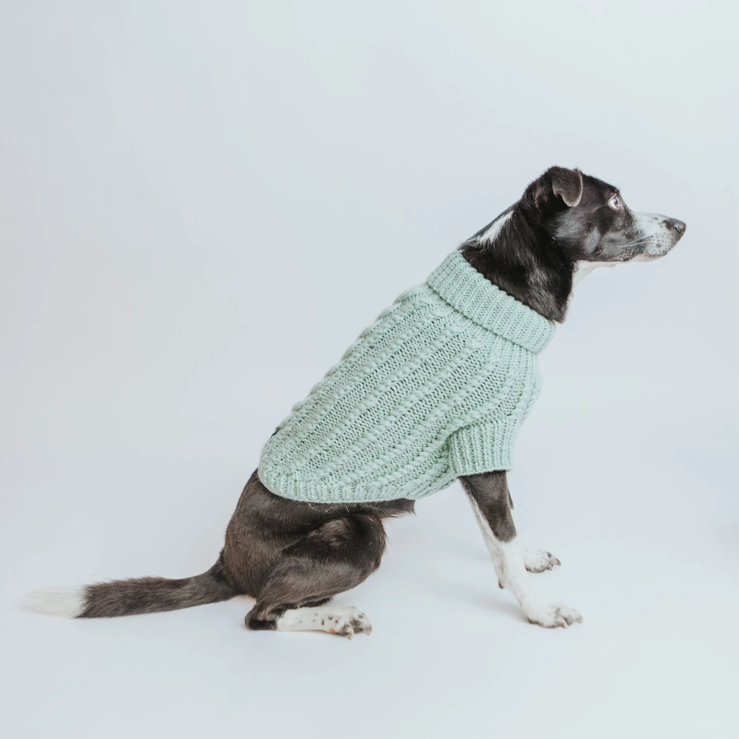 Dog Cable Knit Sweater - Mint 14 Dog Cable Knit Sweater - Mint - Image 12