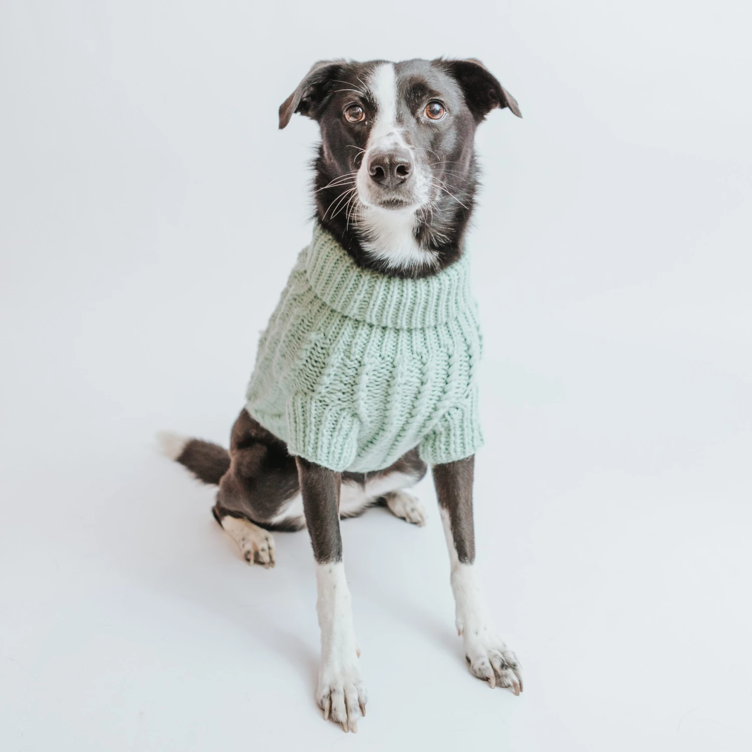 Dog Cable Knit Sweater - Mint 13 Dog Cable Knit Sweater - Mint - Image 11