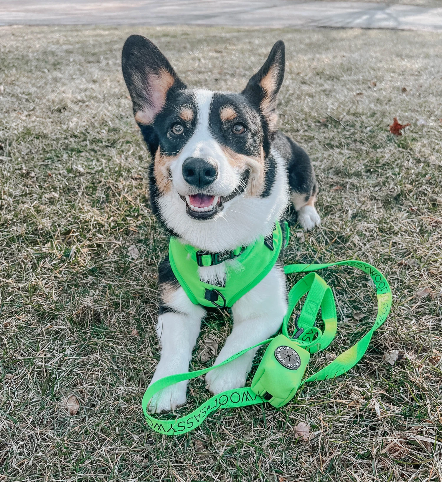 Dog Adjustable Harness - Neon Green 11 Dog Adjustable Harness - Neon Green - Image 9