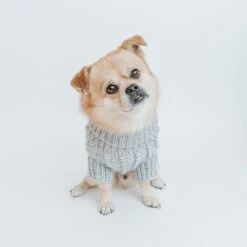 Dog Cable Knit Sweater - Gray -Furfinity Cheap Shop grey cable knit m