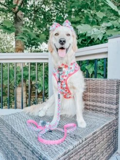 Dog Waste Bag Holder - Floral Frenzy 24 Dog Waste Bag Holder - Floral Frenzy -Furfinity Cheap Shop gvl golden girls 1