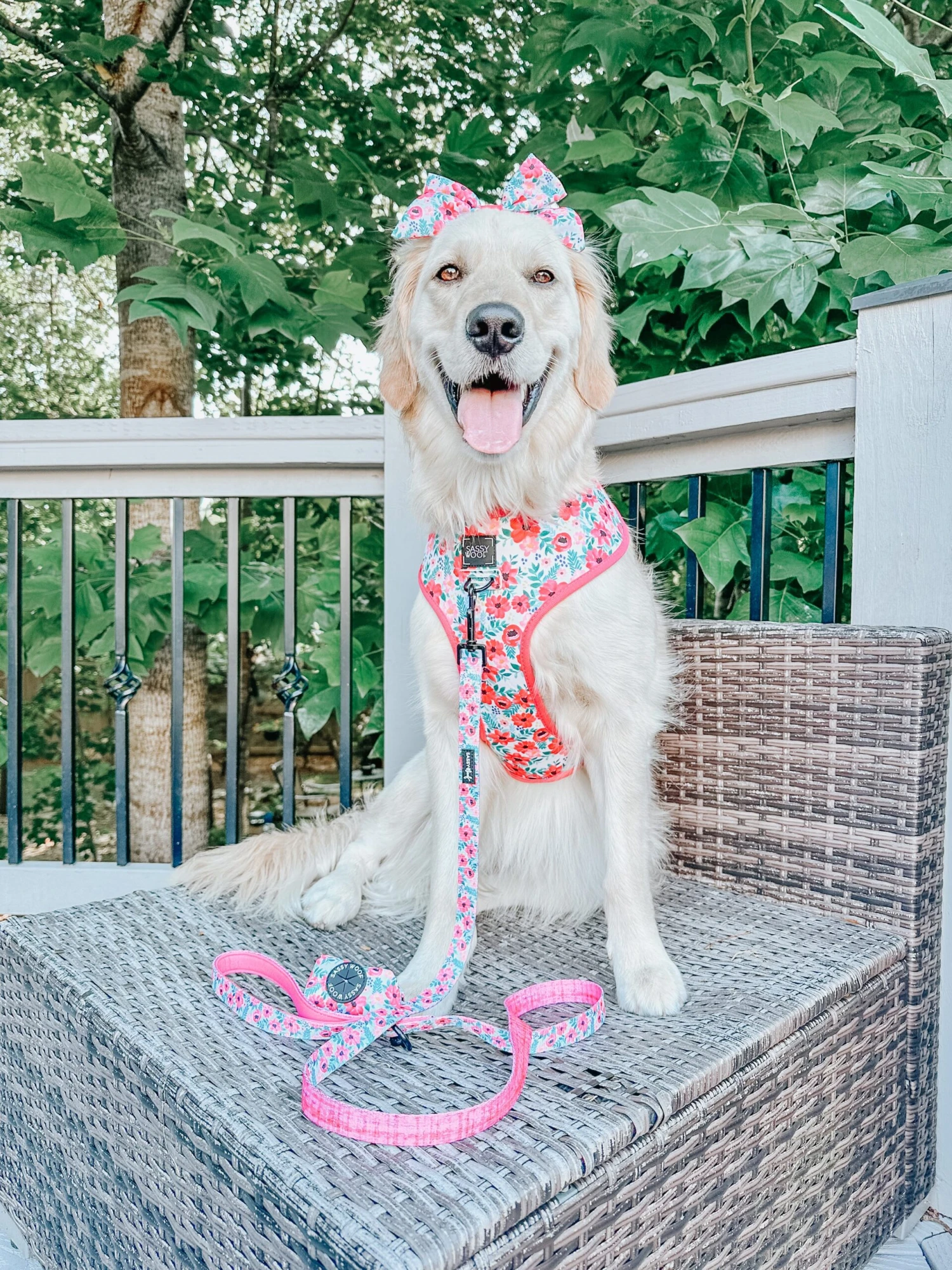 Dog Waste Bag Holder - Floral Frenzy 13 Dog Waste Bag Holder - Floral Frenzy - Image 11