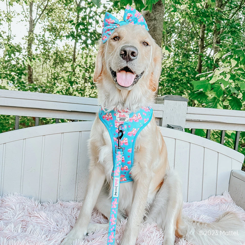 Dog Sailor Bow - BARBIE™ On A Roll 9 Dog Sailor Bow - BARBIE™ On A Roll - Image 7