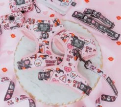 Dog Four Piece Bundle - Harley Quinn™ -Furfinity Cheap Shop harley quinn dc comics dog products 3