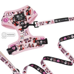 Dog Two Piece Bundle -Harley Quinn™