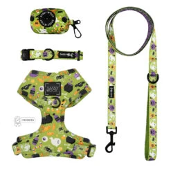 Dog Four Piece Bundle - Haunt Mess