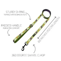 Dog Four Piece Bundle - Haunt Mess 21 Dog Four Piece Bundle - Haunt Mess -Furfinity Cheap Shop hauntmess leashes 3