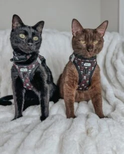 Cat Step-In Harness - STAR WARS™ The Dark Side 19 Cat Step-In Harness - STAR WARS™ The Dark Side -Furfinity Cheap Shop havanesemorning 4 64d7847f 9f67 4283 9fac bd4ebc940958