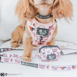 Dog Four Piece Bundle - Harley Quinn™ -Furfinity Cheap Shop hazelbeantheween 1
