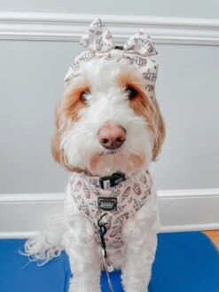 Dog Sailor Bow - Spill The Tea -Furfinity Cheap Shop honeythebernedoodle 2 09f53a73 5359 4644 9764 b43d94a32825