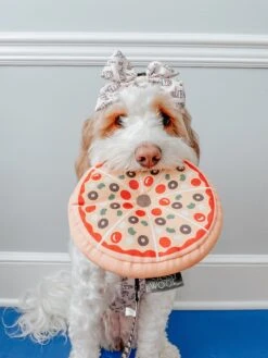 Dog Sailor Bow - Spill The Tea -Furfinity Cheap Shop honeythebernedoodle 6