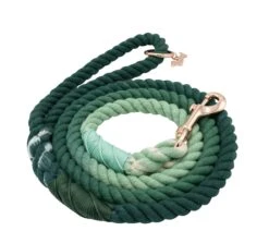 Dog Rope Leash - Hunter -Furfinity Cheap Shop hunter dog rope leash 1