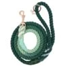 Dog Rope Leash - Hunter -Furfinity Cheap Shop hunter dog rope leash 2