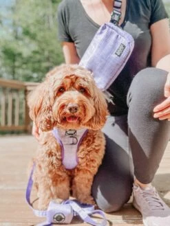 Aurora Woof Pack (Bag Only) -Furfinity Cheap Shop indy thecockapoo 1