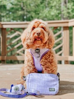 Aurora Woof Pack (Bag Only) -Furfinity Cheap Shop indy thecockapoo 3