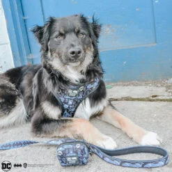 Dog Two Piece Bundle - Batman™ -Furfinity Cheap Shop its boomersworld 2 bc63e4f4 4e1f 4a36 8f22 a1f39abcd81e