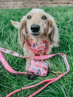 Dog Waste Bag Holder - STAR WARS™ Princess Leia -Furfinity Cheap Shop itslucythedoxie 1 7c3cae5d 7887 477b 8d9e c69e33023ffe