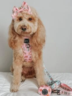 Dog Waste Bag Holder - Out Of Office -Furfinity Cheap Shop izzyinadmo 3 16bd8945 163d 468b a286 5d333cd992be