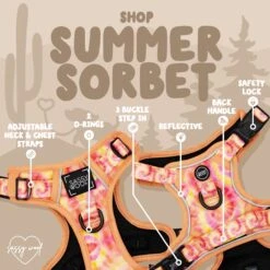 Dog Two Piece Bundle - Summer Sorbet -Furfinity Cheap Shop j 063b0921 b6fc 4f4d b49e 9dcbfb46529b