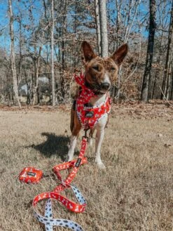 Dog Waste Bag Holder - Disney's 101 Dalmatians -Furfinity Cheap Shop katana the basenji 6 46d9fc8d acf9 476d b713 7b4058c749f0