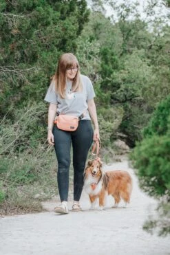 Apple Cider Woof Pack (Bag Only) -Furfinity Cheap Shop kirbythefurbaby 1