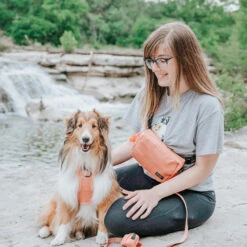 Apple Cider Woof Pack (Bag Only) -Furfinity Cheap Shop kirbythefurbaby 2