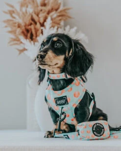 Dog Waste Bag Holder - Peach Please -Furfinity Cheap Shop klaleesi.the .dachshund fc96c177 3e21 484e aa83 4e8e825c9fc6