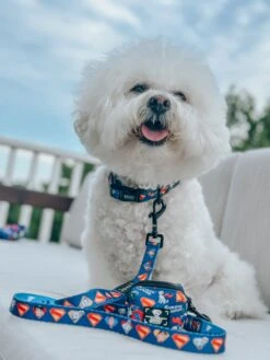 Dog Waste Bag Holder - Superman™ & Krypto™ -Furfinity Cheap Shop krispykreme2023 3