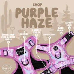 Dog Four Piece Bundle - Purple Haze -Furfinity Cheap Shop l