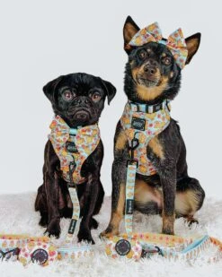 Dog Two Piece Bundle - Good Duck, Babe! -Furfinity Cheap Shop liberace minipig divadude 5 c8549cdb 37fe 43a3 8d90 41d5d2b832e7