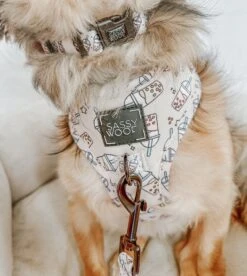 Dog Adjustable Harness - Spill The Tea -Furfinity Cheap Shop life as chanel 4