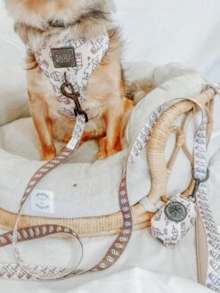 Dog Leash - Spill The Tea -Furfinity Cheap Shop life as chanel 5 26d45fe1 3487 4a39 87c3 0dbad039ffe4