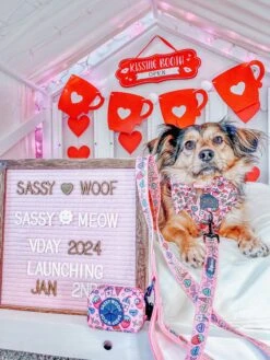 Dog Waste Bag Holder - I Chews You -Furfinity Cheap Shop life.as .chanel bc271f1d 9ef4 4d2f 8631 e531dea5c337