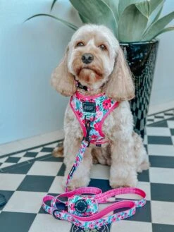 Dog Waste Bag Holder - Floral Frenzy 22 Dog Waste Bag Holder - Floral Frenzy -Furfinity Cheap Shop lily cute cavoodle 1 1dd3ea44 1f1f 4198 ba5d 98051ce9f8c2