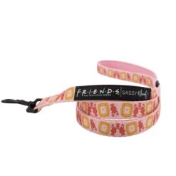 Dog Two Piece Bundle -Friends™ (Lobster) -Furfinity Cheap Shop lobster dog leash 057ac1b3 c767 41fc a753 47ed79a89f93