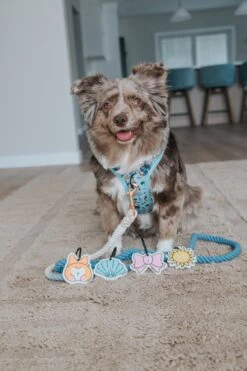 Potty Pal - Pink Bow -Furfinity Cheap Shop lovemayalife 4 93378fbd 6383 437e a31b b247f7cb45ba