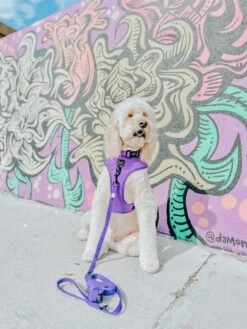 Dog Adjustable Harness - Neon Purple -Furfinity Cheap Shop lucylu pawsitivepup 1