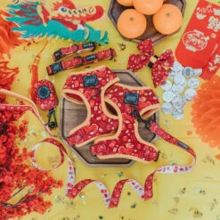 Dog Four Piece Bundle - Lucky Dragon 14 Dog Four Piece Bundle - Lucky Dragon -Furfinity Cheap Shop lunar new year product photos