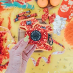 Dog Waste Bag Holder - Lucky Dragon 13 Dog Waste Bag Holder - Lucky Dragon -Furfinity Cheap Shop lunar new year product photos 4