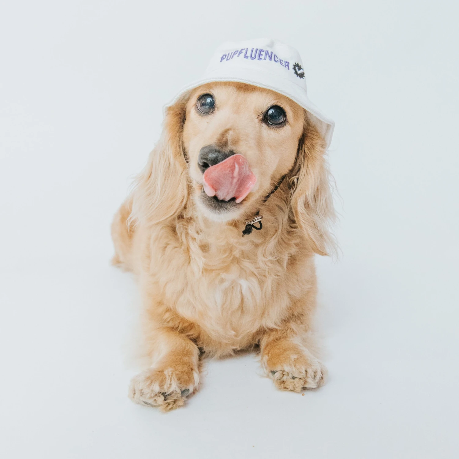 Bucket Hat Bundle - Momager + Pupfluencer 7 Bucket Hat Bundle - Momager + Pupfluencer - Image 5