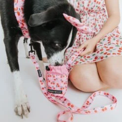 Treat Pouch - Mon Cherry -Furfinity Cheap Shop mabel treatpouch 10