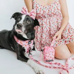 Treat Pouch - Mon Cherry -Furfinity Cheap Shop mabel treatpouch 6