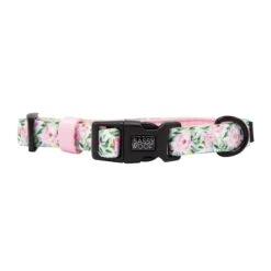 Collar Three Piece Bundle - Magnolia 12 Collar Three Piece Bundle - Magnolia -Furfinity Cheap Shop magnolia dog collar 2 1