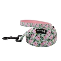 Dog Four Piece Bundle - Magnolia -Furfinity Cheap Shop magnolia dog leash