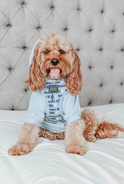 Dog Two Piece Bundle - Mama's Boy -Furfinity Cheap Shop mamas boy dog harness 1 0b40491f 0934 4e68 af96 80400f09bddf