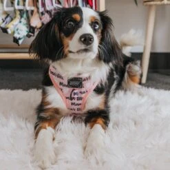 Dog Adjustable Harness - Mama's Girl -Furfinity Cheap Shop mamas girl dog harness 1 7ced757c 2637 4b1c 93f8 7a9360c3f307